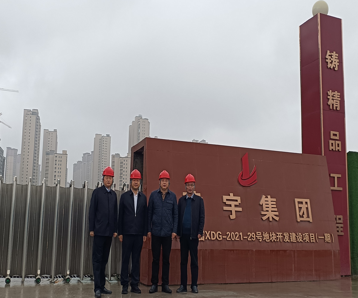 市領導調(diào)研集團無錫項目